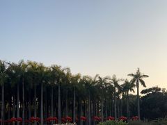 -深圳国际园林花卉博览园