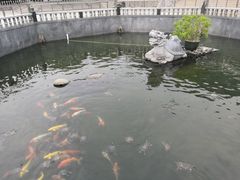 -凤凰山公园-龙王古庙