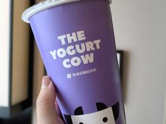 原味酸奶紫米露-一只酸奶牛(锦城万达天虹店)