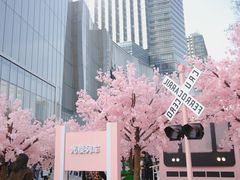 -金茂览秀城