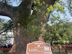 -新安江山水画廊风景区