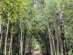 -长春市南湖公园