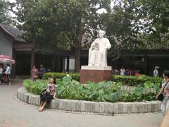 -白洋淀景区