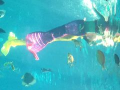 iphone_upload_pic-福州罗源湾海洋世界旅游区