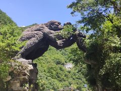 -神农架景区