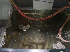 -岩泊渡桂鱼楼活鱼馆