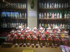 -猫咪博物馆(顶澳仔猫街店)