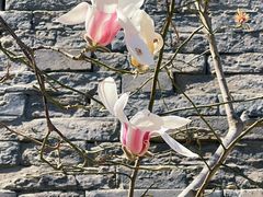 -东华门大街小区