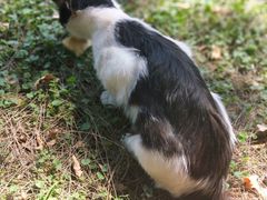 -安塔利亚博物馆