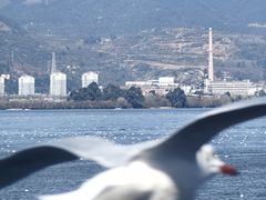-海埂大坝