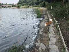 -美兰湖景区