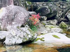 -鄣山大峡谷