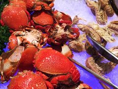 -成都天府丽雅酒店-宽窄店丽悦餐厅
