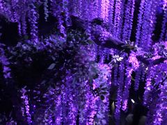 -芜湖方特东方神画
