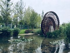 -汉中石门栈道景区