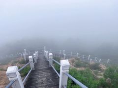 -石老人观光园
