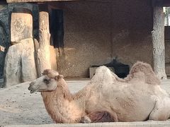 -南昌动物园