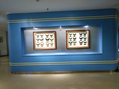 -上海昆虫博物馆