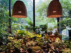 -自由生长植物工作室(深港花卉中心店)