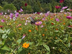 -贵阳市花溪国家城市湿地公园