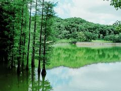 -广州市白云山风景名胜区