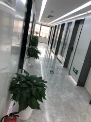 -悟空祛痘·诺奖技术专业店