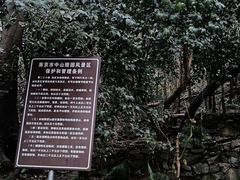 -紫金山山顶公园