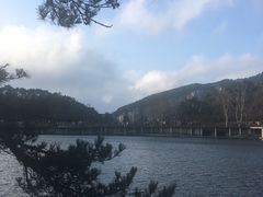 -庐山风景区花径公园
