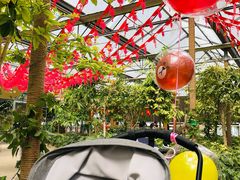 -南宫五洲植物乐园