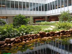 -香港大学