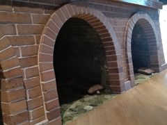 -沐泷泉(南风大剧院店)