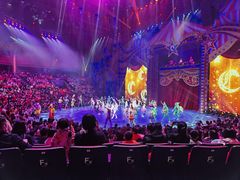 -珠海横琴长隆《卡卡虎奇遇记》