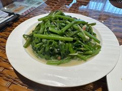 -老广酒楼(樱花店)
