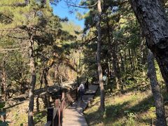 -北京十三陵国家森林公园蟒山景区