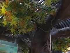-阳光院坝小龙虾(红牌楼店)