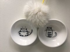 -喵的天空名猫咖啡馆·撸猫·猫舍·用品