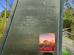 -桤木河湿地公园