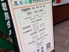 -西双版纳原始森林公园