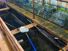 水产区-蓝湾碧波·老字号·疍家非遗海上餐厅