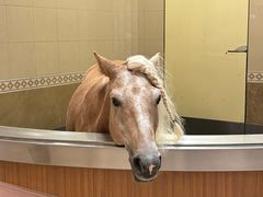 -海澜飞马水城