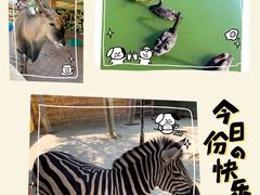 -广州融创文旅城