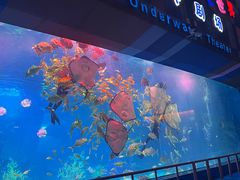 -泉城欧乐堡海洋极地世界