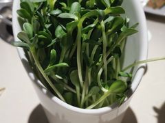 好吃瓜子苗-浩爷羊蝎子火锅(双榆树店)