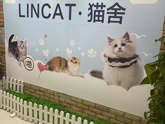 -lincat·猫舍(广州店)