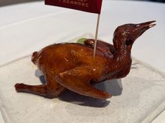 -侨美食家·41年地道粤菜(珠江新城店)