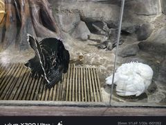 -苏州海洋馆