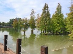 -南宁花花大世界景区