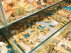 -仙螺岛海鲜自助餐厅(总店)
