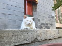 -八大处公园