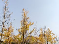 -府河摄影公园